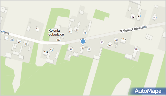 Kolonia Łobudzice, Kolonia Łobudzice, 37, mapa Kolonia Łobudzice