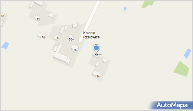 Kolonia Rzejowice, Kolonia Rzejowice, 55, mapa Kolonia Rzejowice