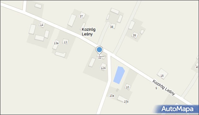 Koziróg Leśny, Koziróg Leśny, 12, mapa Koziróg Leśny