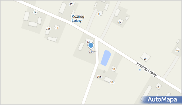 Koziróg Leśny, Koziróg Leśny, 12b, mapa Koziróg Leśny