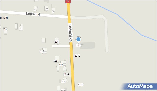 Krotoszyn, Koźmińska, 124F, mapa Krotoszyna