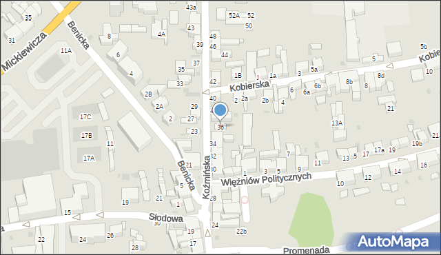 Krotoszyn, Koźmińska, 36, mapa Krotoszyna