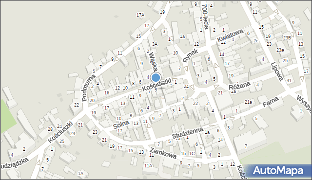 Łasin, Kościuszki Tadeusza, gen., 5, mapa Łasin