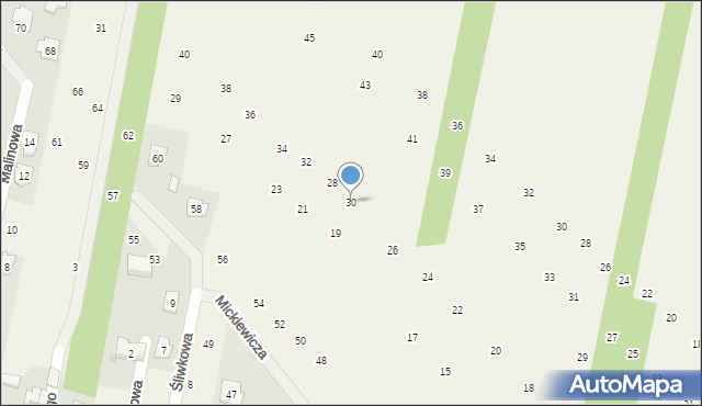 Maszewo Duże, Konopnickiej Marii, 30, mapa Maszewo Duże