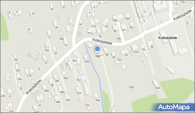 Nowy Targ, Kokoszków, 56a, mapa Nowego Targu