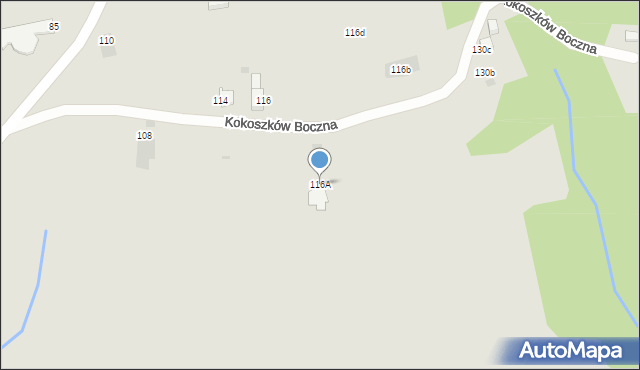 Nowy Targ, Kokoszków Boczna, 116A, mapa Nowego Targu