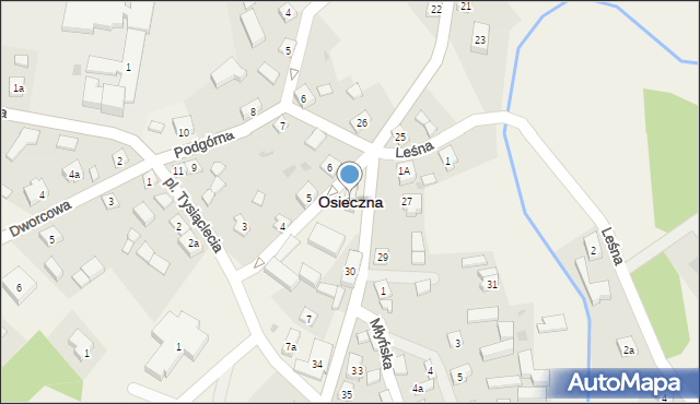 Osieczna, Kościuszki Tadeusza, gen., 28, mapa Osieczna