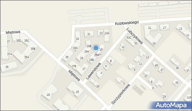 Plewiska, Kozłowskiego Jana, prof., 25A, mapa Plewiska