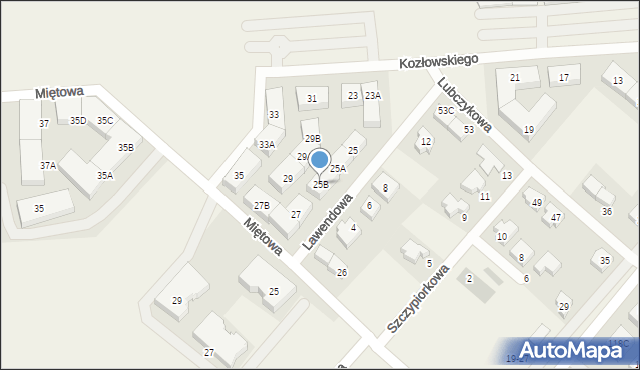 Plewiska, Kozłowskiego Jana, prof., 25B, mapa Plewiska