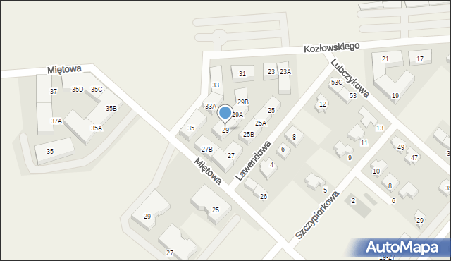 Plewiska, Kozłowskiego Jana, prof., 29, mapa Plewiska