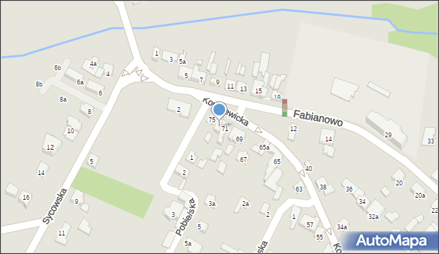 Poznań, Kowalewicka, 73, mapa Poznania