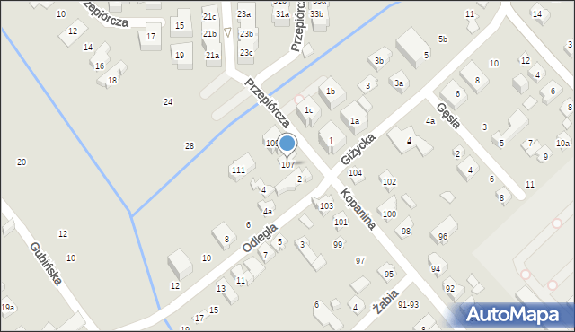 Poznań, Kopanina, 107, mapa Poznania