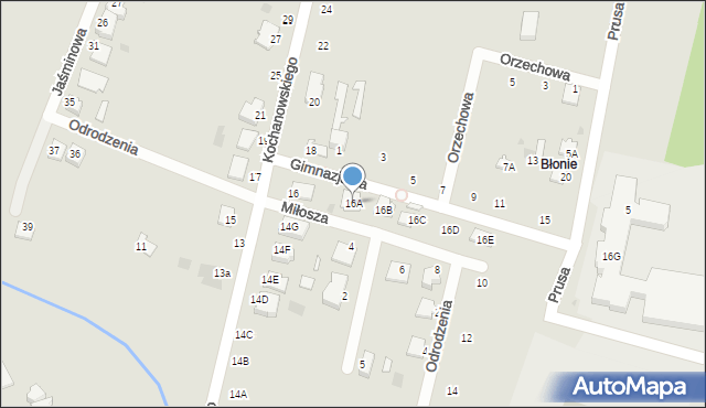Skaryszew, Kochanowskiego Jana, 16A, mapa Skaryszew