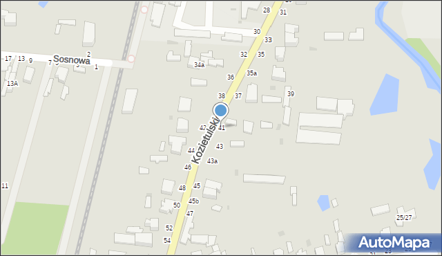 Skierniewice, Kozietulskiego Jana Leona, płk., 41, mapa Skierniewic