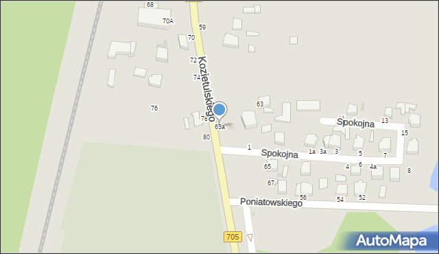Skierniewice, Kozietulskiego Jana Leona, płk., 63a, mapa Skierniewic