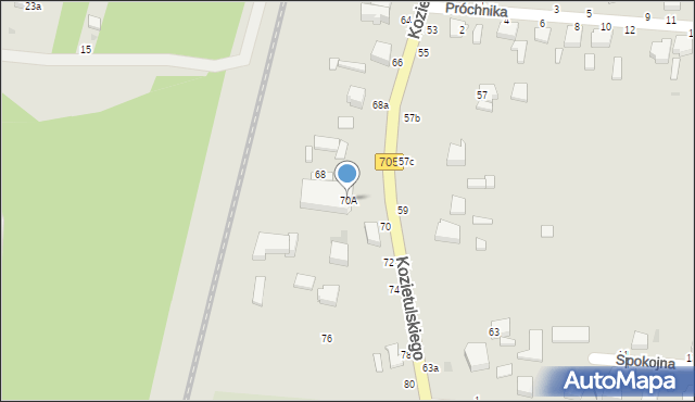 Skierniewice, Kozietulskiego Jana Leona, płk., 70A, mapa Skierniewic