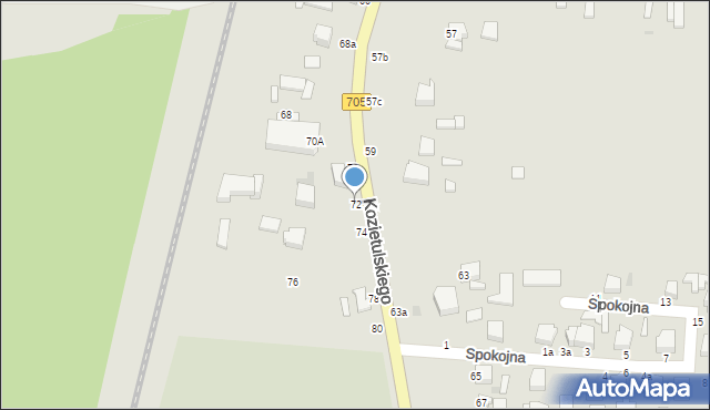 Skierniewice, Kozietulskiego Jana Leona, płk., 72, mapa Skierniewic