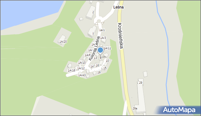 Torzym, Kolonia Leśna, 1A/21, mapa Torzym