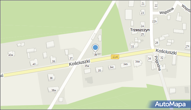 Trzeszczyn, Kościuszki Tadeusza, gen., 36, mapa Trzeszczyn