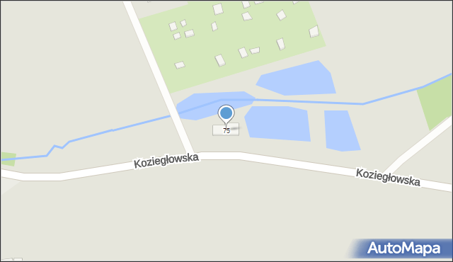 Woźniki, Koziegłowska, 75, mapa Woźniki