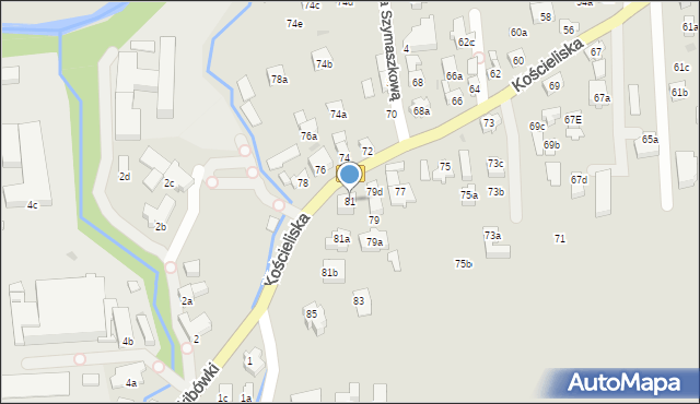 Zakopane, Kościeliska, 81, mapa Zakopanego