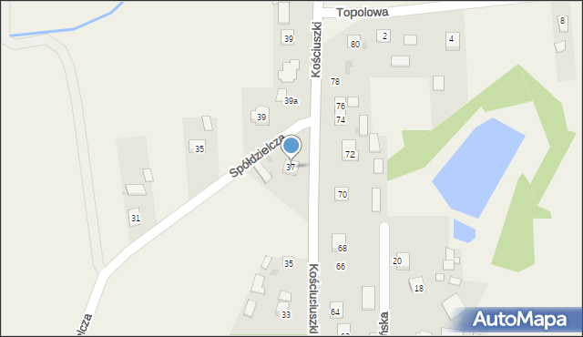 Zaleszany, Kościuszki Tadeusza, gen., 37, mapa Zaleszany