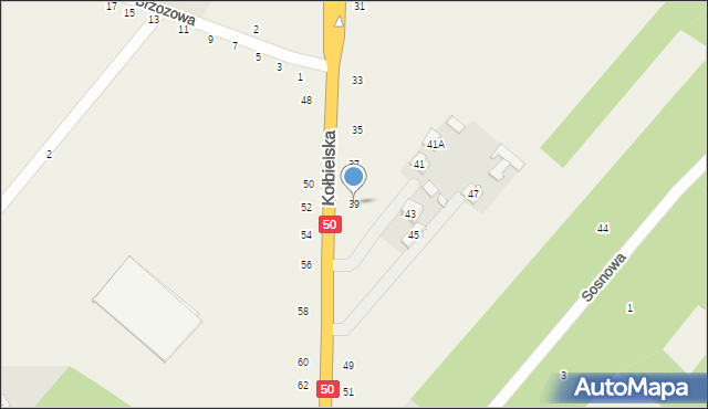 Zamienie, Kołbielska, 39, mapa Zamienie