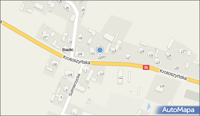 Biadki, Krotoszyńska, 113, mapa Biadki