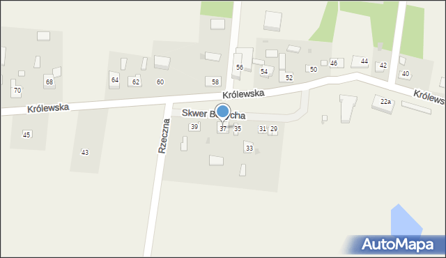 Kaski, Królewska, 37, mapa Kaski