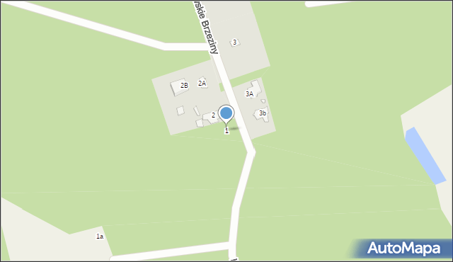 Królewskie Brzeziny, Królewskie Brzeziny, 1, mapa Królewskie Brzeziny