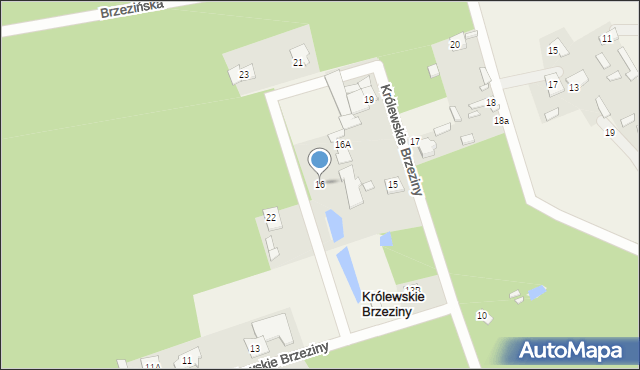 Królewskie Brzeziny, Królewskie Brzeziny, 16, mapa Królewskie Brzeziny