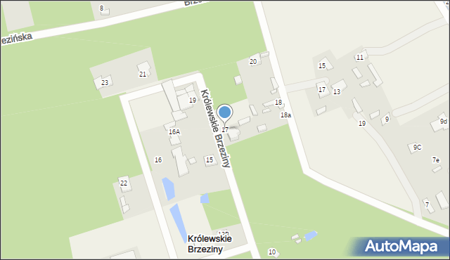 Królewskie Brzeziny, Królewskie Brzeziny, 17, mapa Królewskie Brzeziny