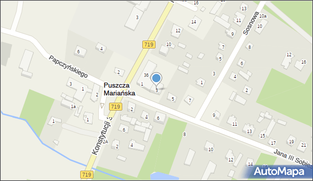 Puszcza Mariańska, Króla Jana III Sobieskiego, 3, mapa Puszcza Mariańska