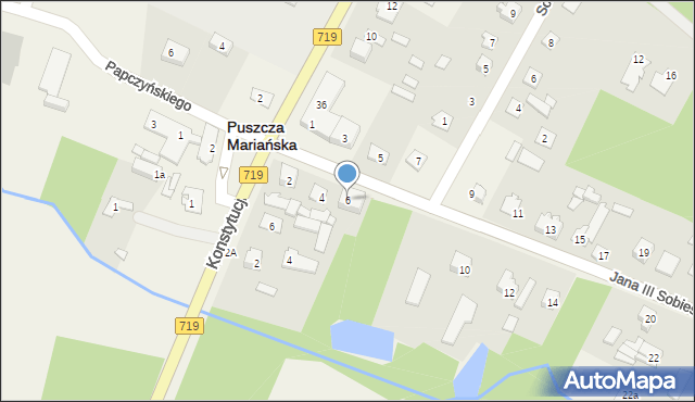 Puszcza Mariańska, Króla Jana III Sobieskiego, 6, mapa Puszcza Mariańska