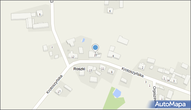 Roszki, Krotoszyńska, 10, mapa Roszki