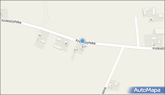 Roszki, Krotoszyńska, 37, mapa Roszki