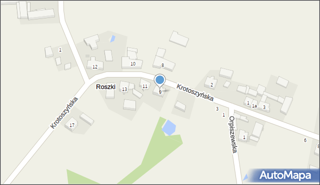 Roszki, Krotoszyńska, 9, mapa Roszki