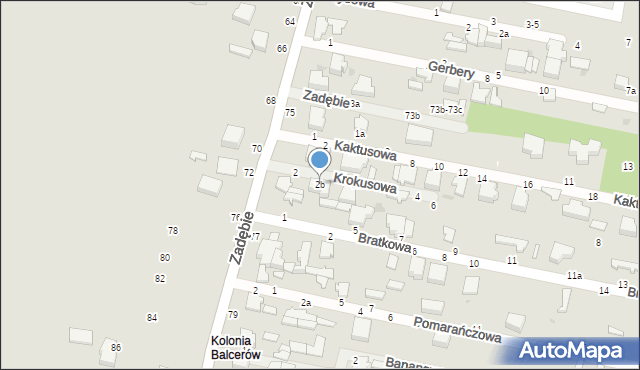 Skierniewice, Krokusowa, 2b, mapa Skierniewic