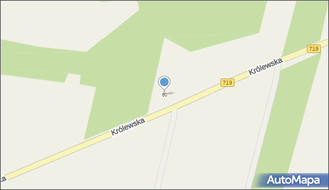 Wygoda, Królewska, 60, mapa Wygoda