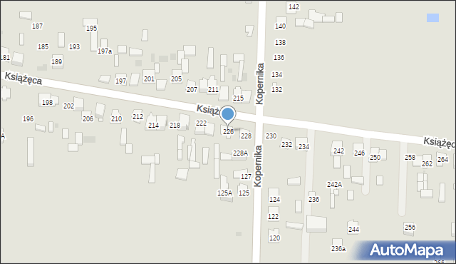Skarżysko-Kamienna, Książęca, 226, mapa Skarżysko-Kamienna