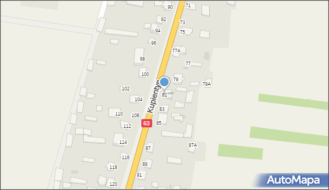 Kupientyn, Kupientyn, 81, mapa Kupientyn