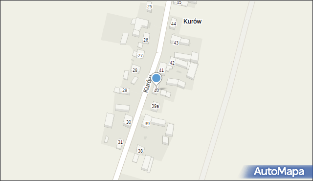 Kurów, Kurów, 40, mapa Kurów