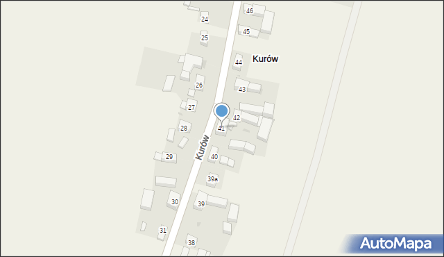 Kurów, Kurów, 41, mapa Kurów