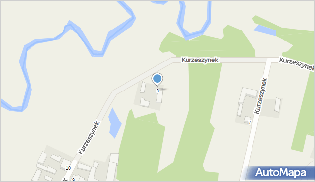 Kurzeszynek, Kurzeszynek, 8, mapa Kurzeszynek