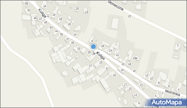 Pawłowiczki, Kuliga, ks., 25, mapa Pawłowiczki