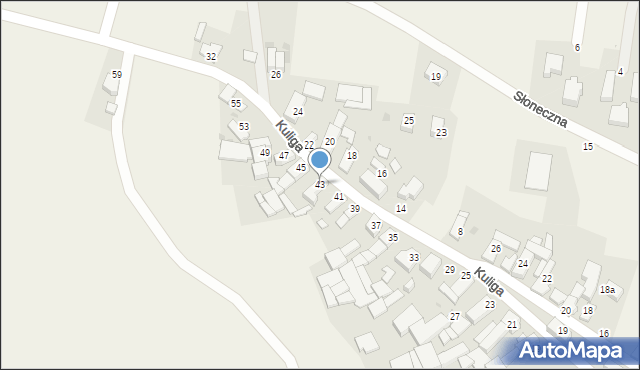 Pawłowiczki, Kuliga, ks., 43, mapa Pawłowiczki