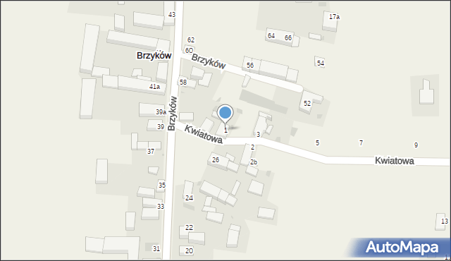 Brzyków, Kwiatowa, 1, mapa Brzyków