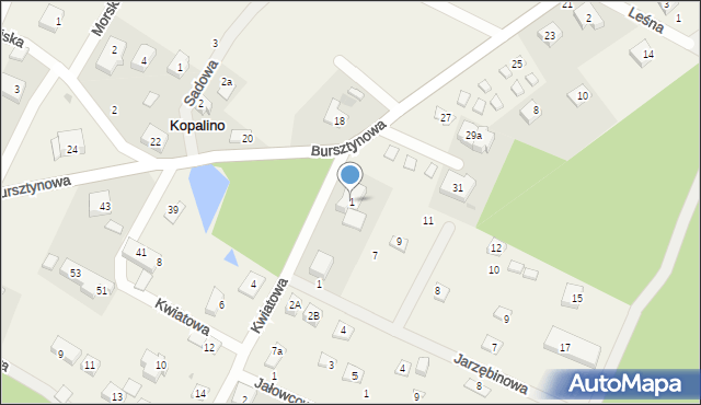 Kopalino, Kwiatowa, 1, mapa Kopalino