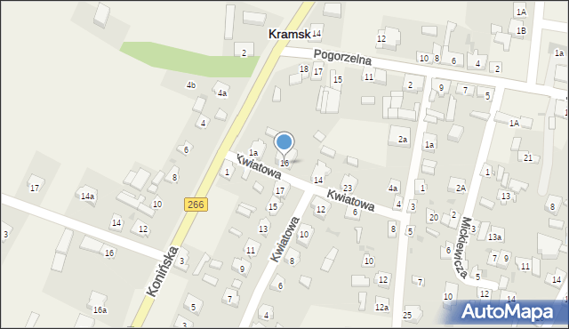 Kramsk, Kwiatowa, 16, mapa Kramsk