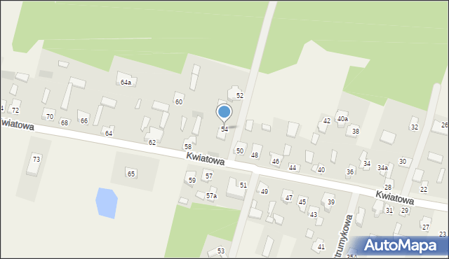 Mariew, Kwiatowa, 54, mapa Mariew